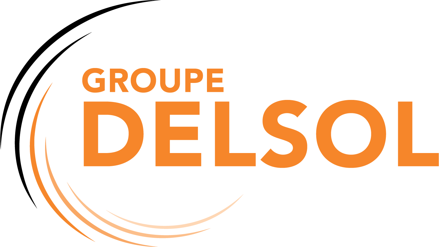 Logo Groupe Delsol